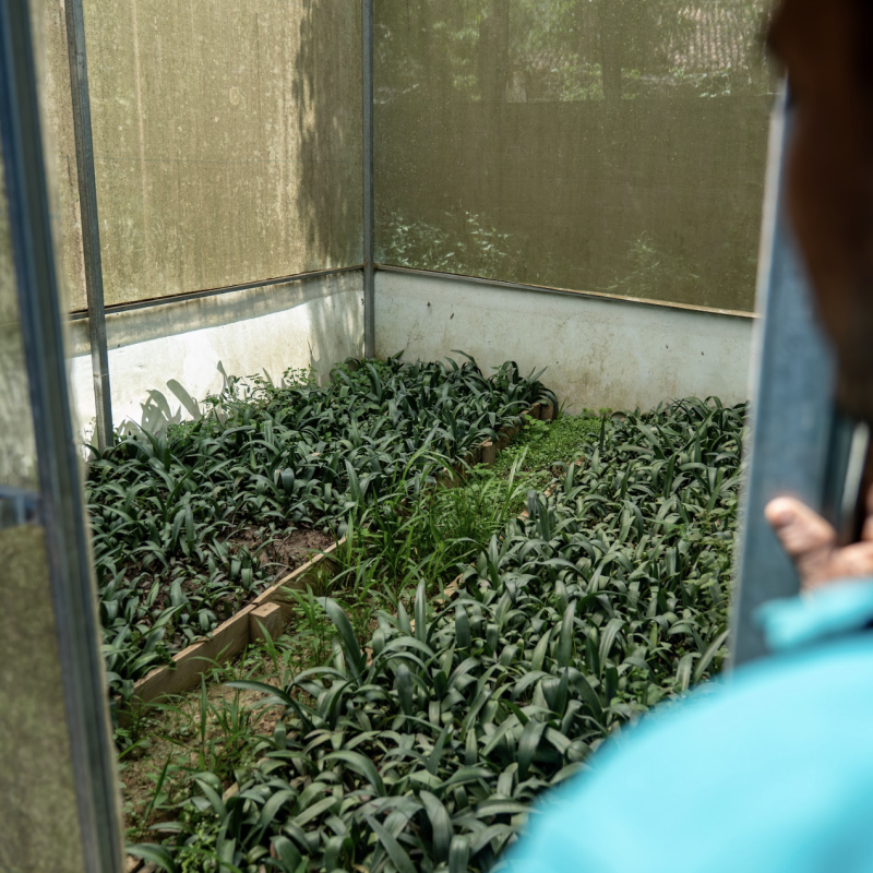 Captura de pantalla 2025-10-22 a la(s) 1.15.29 p.m.